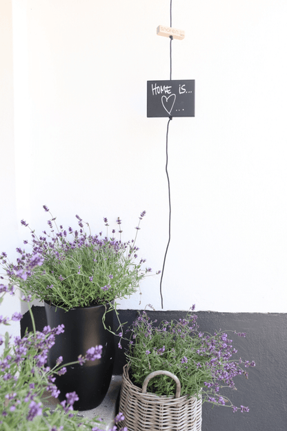 Styling Black edition #3