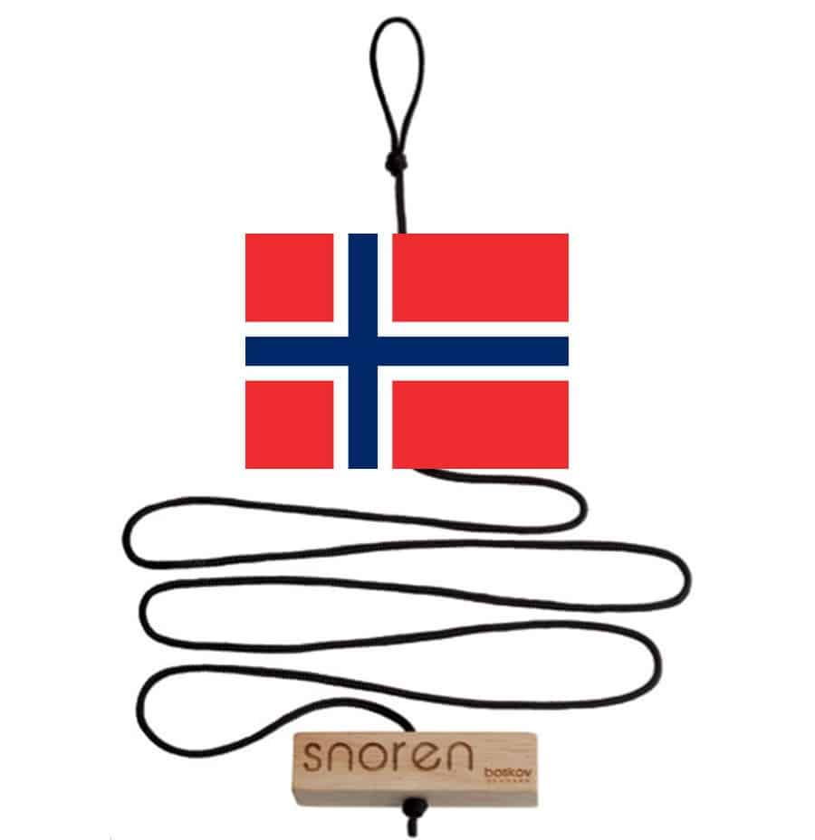 Norsk Flag til Snoren